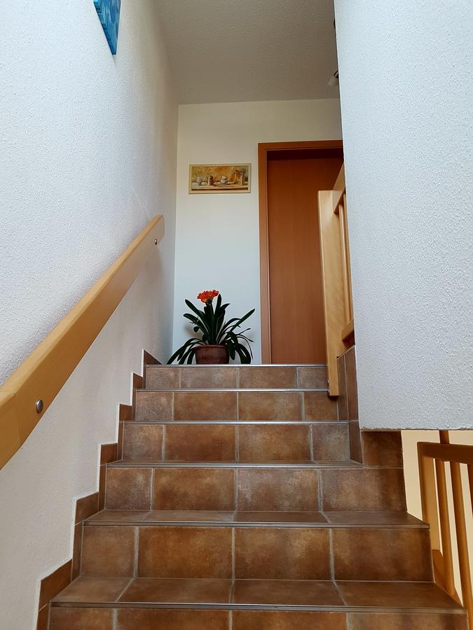 Pension Am Deich Kröslin Extérieur photo
